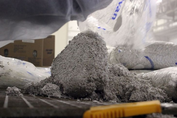 Комплекс по выращиванию грибниц в Кобринском районе замещает импорт и закрывает более половины потребностей внутреннего рынка Комплекс по выращиванию грибниц в Кобринском районе замещает импорт и закрывает более половины потребностей внутреннего рынка