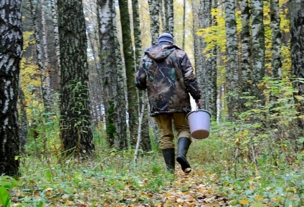 В Беларуси милиционер в свой выходной пошел в грибы и нашел в лесу «закладчика»