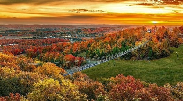 Открылся самый длинный в мире подвесной мост, сделанный в основном из дерева Открылся самый длинный в мире подвесной мост, сделанный в основном из дерева