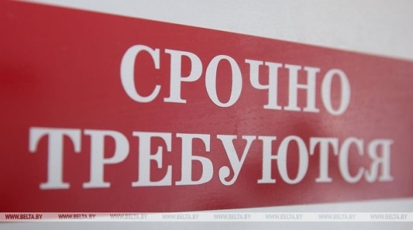 Семь электронных ярмарок вакансий проведут в Брестской области до конца октября Семь электронных ярмарок вакансий проведут в Брестской области до конца октября