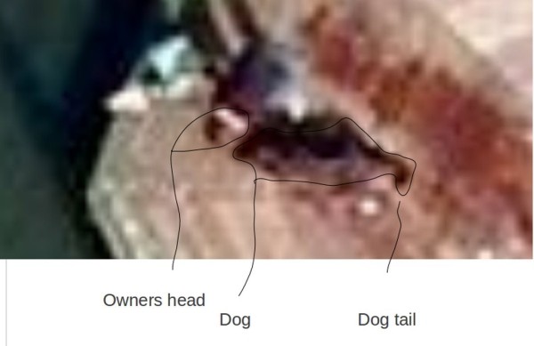 Мужчина пропал в 1997 году. Его нашли через 22 года на спутниковых снимках Google
