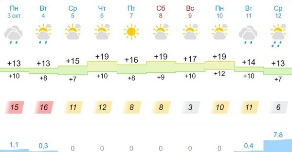 На ближайшие сутки по Бресту и области объявлен оранжевый уровень из-за ветра