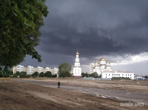 На ближайшие сутки по Бресту и области объявлен оранжевый уровень из-за ветра