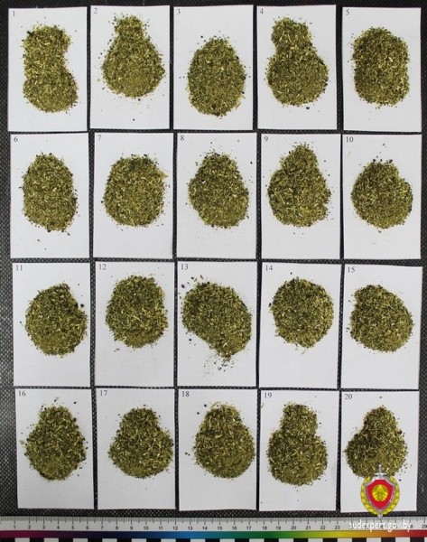 Белорус вез через границу чай Relax. Оказалось, сувениры с листиком конопли таможня изымает