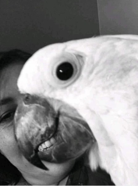 20 неоднозначных фото 20 неоднозначных фото