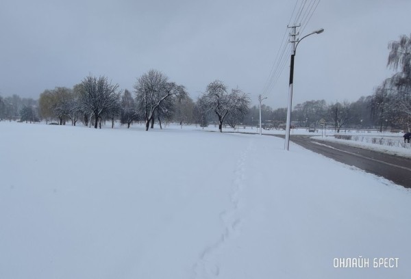 Коммунальным службам Бреста в уборке снега помогут предприятия