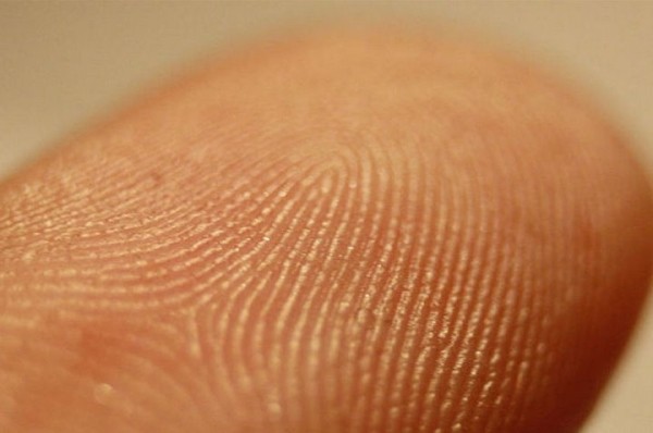 Для чего нам узоры на кончиках пальцев и полоски на ладонях? Отвечаем на популярный вопрос Для чего нам узоры на кончиках пальцев и полоски на ладонях? Отвечаем на популярный вопрос