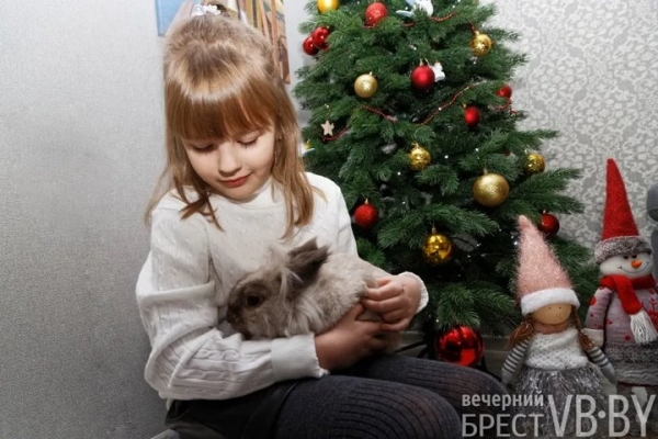 Самый «козырный» Тузик. Талисманом Бреста стал львиноголовый голландец. Знакомимся поближе! Самый «козырный» Тузик. Талисманом Бреста стал львиноголовый голландец. Знакомимся поближе!