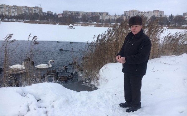 В Барановичах лебеди не поделили полынью