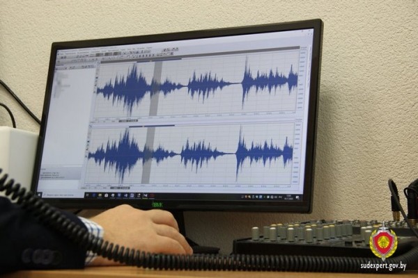 Все тайное становится явным. Кто и что говорил в соседском конфликте – разбирались судебные эксперты Все тайное становится явным. Кто и что говорил в соседском конфликте – разбирались судебные эксперты