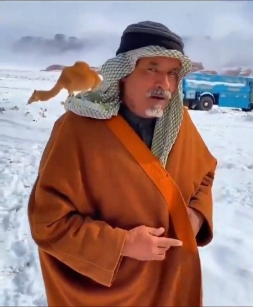 В Саудовской Аравии выпал снег. Верблюды не понимают, что делать, а люди веселятся В Саудовской Аравии выпал снег. Верблюды не понимают, что делать, а люди веселятся