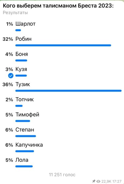 Талисманом Бреста 2023-го года стал кролик Тузик