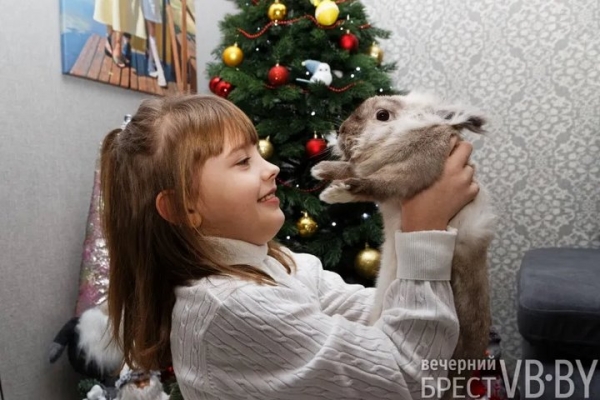 Самый «козырный» Тузик. Талисманом Бреста стал львиноголовый голландец. Знакомимся поближе! Самый «козырный» Тузик. Талисманом Бреста стал львиноголовый голландец. Знакомимся поближе!