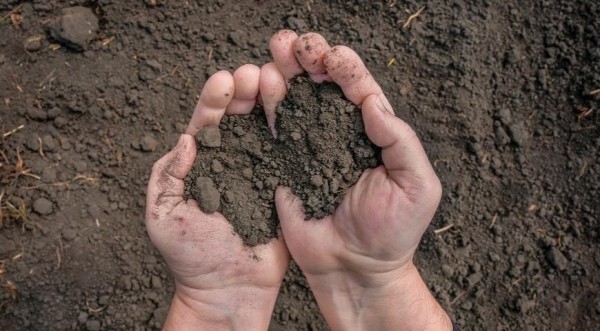 «Рвал на себе одежду и ел почву». Белорус под кайфом бегал по проезжей части