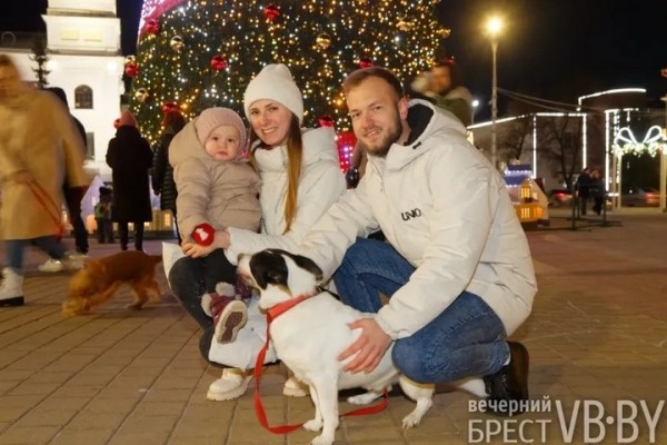 Как вам новогодняя иллюминация Бреста? Спросили у горожан и гостей нашего города