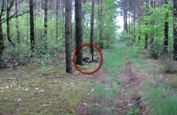 Брестчанин получил 23 года колонии за изнасилование и убийство жительницы Пружан Брестчанин получил 23 года колонии за изнасилование и убийство жительницы Пружан