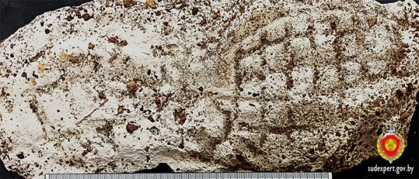 Кражу имущества из сараев раскрыли по оставленному следу обуви. Случай в Брестской области