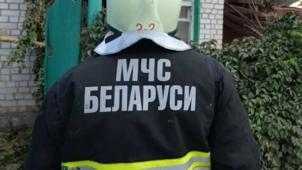 В Брестском районе загорелся птичник, погибли тысячи цыплят-бройлеров