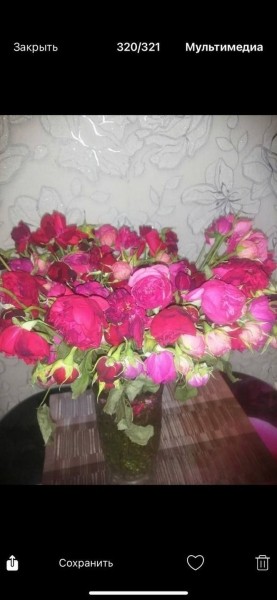 «Вялые и засохшие цветы — это норма?» Разбираемся, можно ли вернуть деньги за плохой букет «Вялые и засохшие цветы — это норма?» Разбираемся, можно ли вернуть деньги за плохой букет