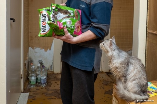 «Я говорил жене: ну невозможно же так жить!» Белоруска приютила дома больше 20 котов, а теперь тяжело больна «Я говорил жене: ну невозможно же так жить!» Белоруска приютила дома больше 20 котов, а теперь тяжело больна