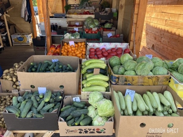 Глава МАРТ объяснил дороговизну белорусских огурцов и назвал способ, как сбить цены