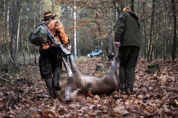 Борьба с браконьерами и альтернатива истреблению животных. Узнали, как на Брестчине контролируют охотников Борьба с браконьерами и альтернатива истреблению животных. Узнали, как на Брестчине контролируют охотников