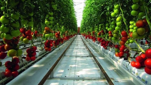 Белорусы поехали на заработки в Норвегию. Сколько заработали? Белорусы поехали на заработки в Норвегию. Сколько заработали?