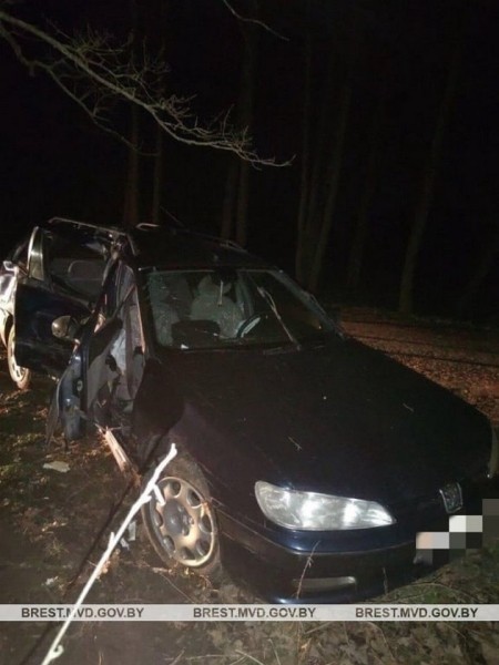 Молодой водитель из Пружан врезался в дерево в Малоритском районе Молодой водитель из Пружан врезался в дерево в Малоритском районе