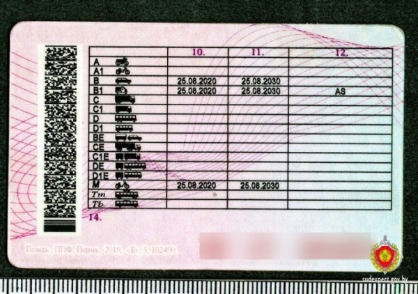 Работал в Москве и купил там права. Ещё один белорус попался с поддельным в/у