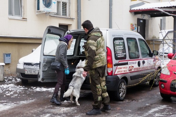 «Жирная тема» или сплошные убытки? Разбираемся, почему в Беларуси почти нет зоотакси