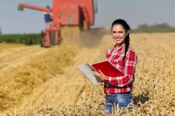 Какие экзамены будут сдавать будущие студенты сельскохозяйственных вузов Какие экзамены будут сдавать будущие студенты сельскохозяйственных вузов