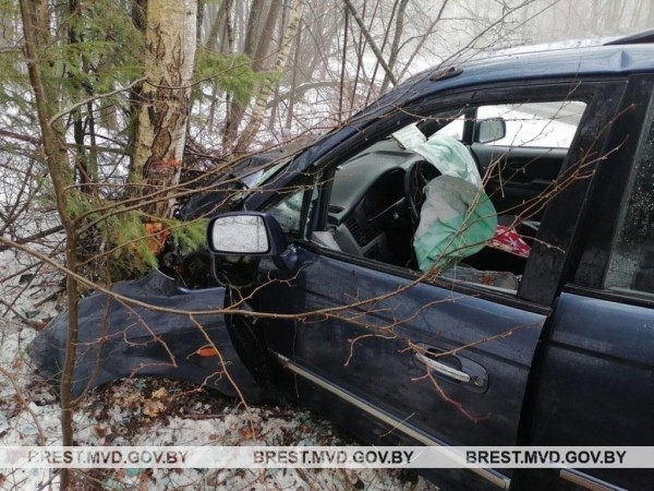 Занесло? Водитель врезалась в дерево в Брестской области Занесло? Водитель врезалась в дерево в Брестской области