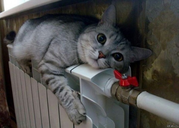 Отопление начали отключать в Беларуси Отопление начали отключать в Беларуси