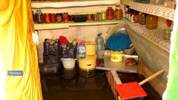 Семья из Гомеля теперь живёт на острове. Как белорусы справляются с крупнейшими паводками?