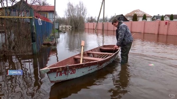 Семья из Гомеля теперь живёт на острове. Как белорусы справляются с крупнейшими паводками?