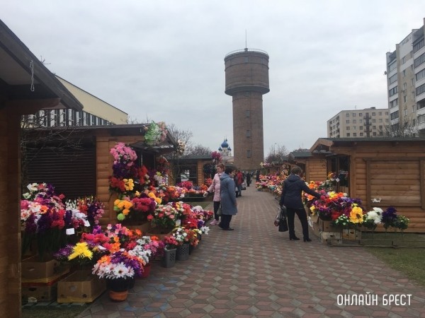Экологи призывают отказаться от пластиковых цветов на Радуницу Экологи призывают отказаться от пластиковых цветов на Радуницу