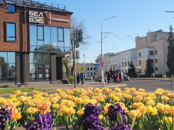 Брест по-настоящему расцвел Брест по-настоящему расцвел