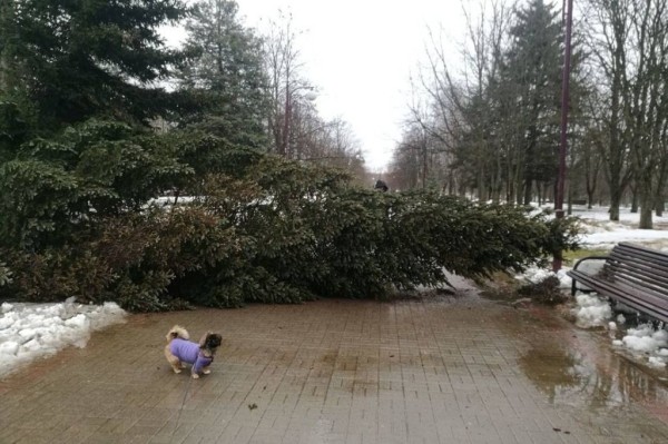 Дело об упавшей на машину с крыши дома бетонной балке. Владелица выиграла суд спустя год
