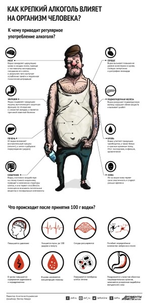Как водка влияет на организм человека? Инфографика Как водка влияет на организм человека? Инфографика
