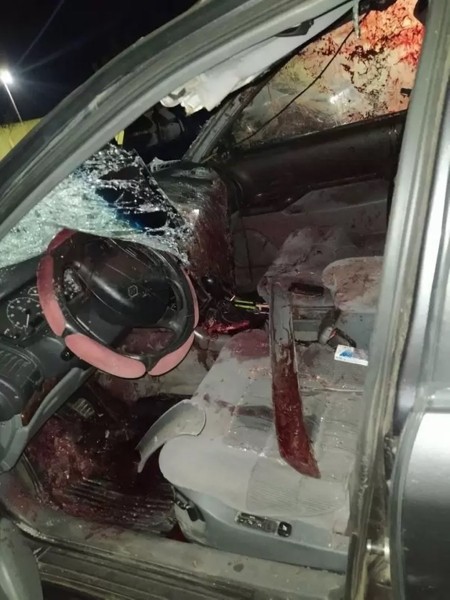 Жесткое ДТП в Беларуси: автомобиль «Рено» столкнулся с лосем Жесткое ДТП в Беларуси: автомобиль «Рено» столкнулся с лосем