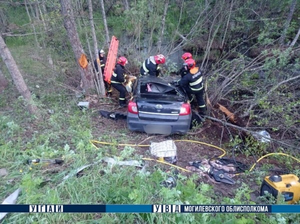 В Беларуси лось спровоцировал смертельное ДТП В Беларуси лось спровоцировал смертельное ДТП