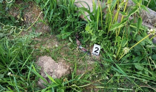 Версия о пале травы не подтвердилась. Следователи установили, что пенсионерку поджог сожитель