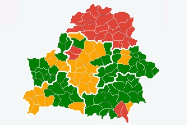 Белорусы отправились за грибами Белорусы отправились за грибами