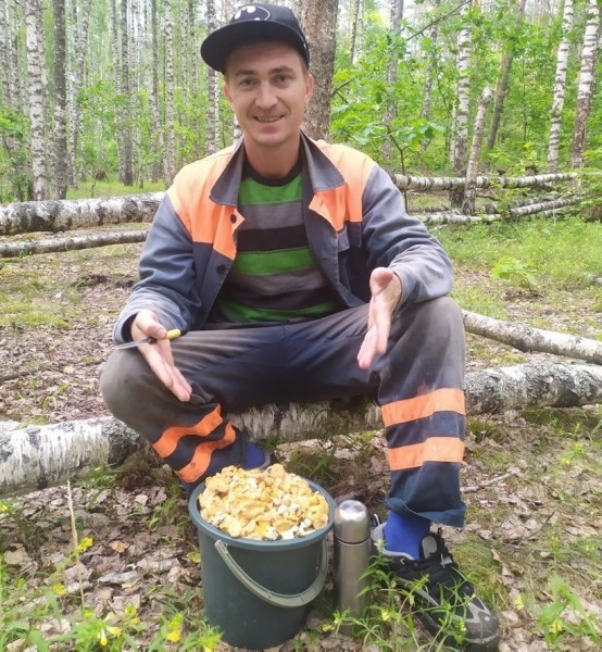 Белорусы отправились за грибами Белорусы отправились за грибами