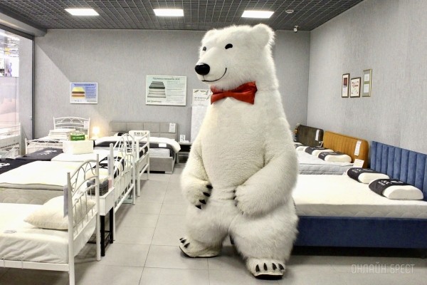 И большой белый медведь выбирает сон на матрасах «ЭОС» в Бресте! И большой белый медведь выбирает сон на матрасах «ЭОС» в Бресте!