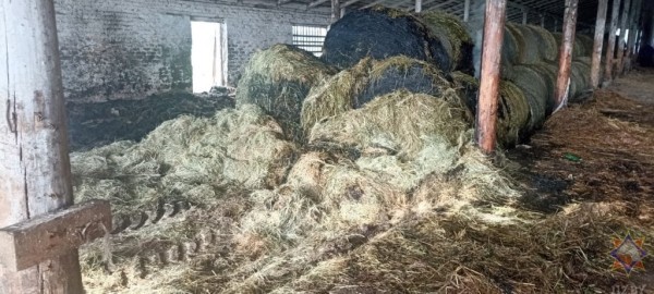 Более 90 тонн сена спасли работники МЧС и хозяйства на пожаре в Столинском районе Более 90 тонн сена спасли работники МЧС и хозяйства на пожаре в Столинском районе