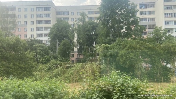 «Сосед разбудил, сказал: выходи». Во дворе дерево рухнуло на Tesla