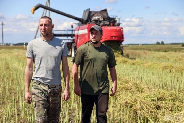 Посмотрели, как возле Бреста убирают озимый рапс