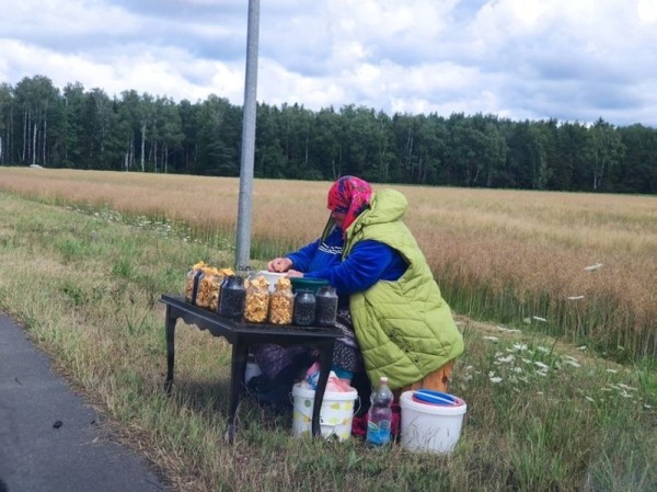 «Накапливает радионуклиды в два-три раза больше, чем малина или земляника». Почему покупать чернику у дорог и с рук опасно? «Накапливает радионуклиды в два-три раза больше, чем малина или земляника». Почему покупать чернику у дорог и с рук опасно?