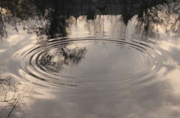 Прыгнул «щучкой» и сломал шею: мужчина умер на глазах у детей Прыгнул «щучкой» и сломал шею: мужчина умер на глазах у детей